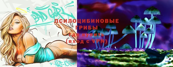 прущие грибы Осташков